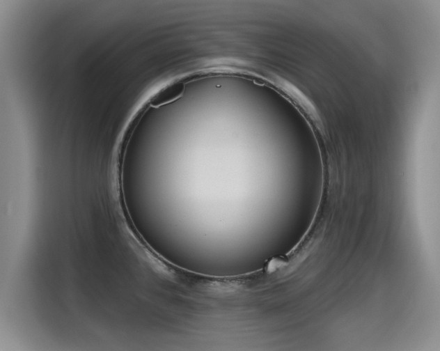 X0000115251384200911061210