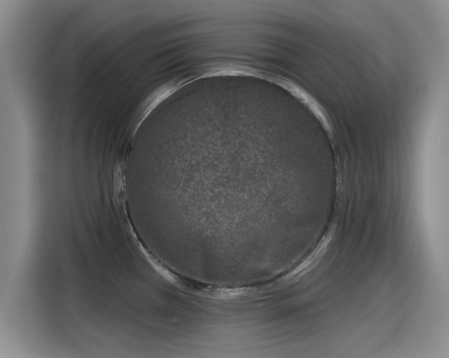 X0000115251385200911061210