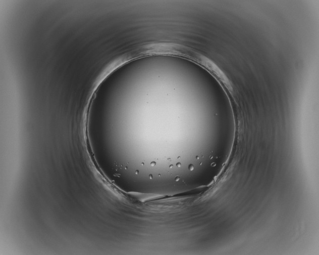 X0000115251386200911061210