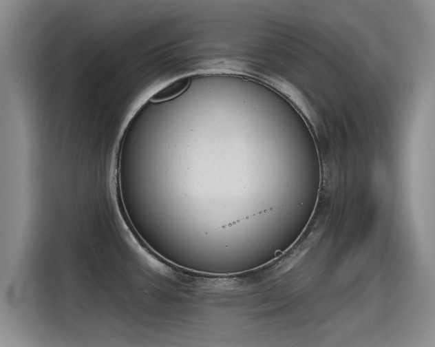 X0000115251387200911061210