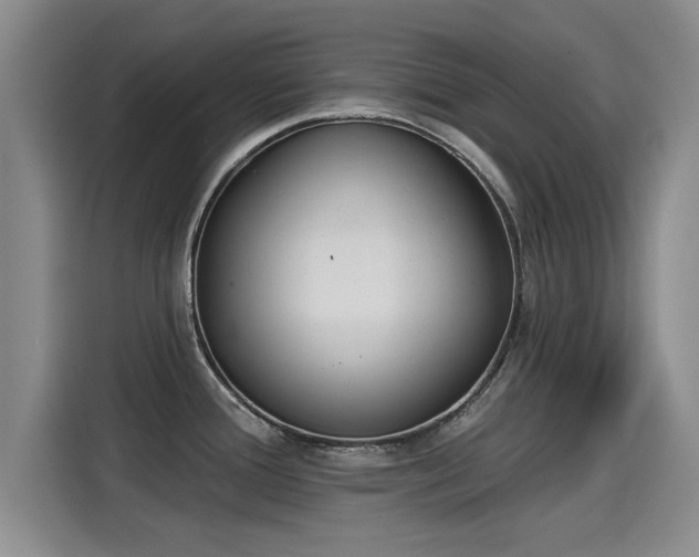 X0000115251388200911061210