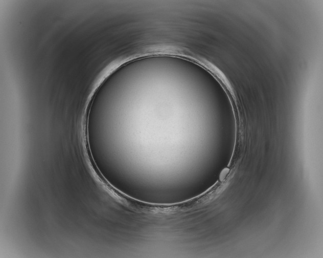 X0000115251389200911061210