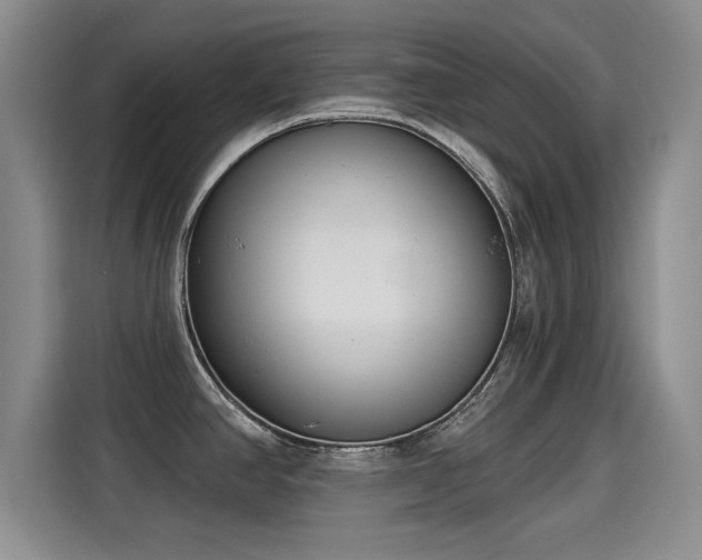 X0000115251390200911061210