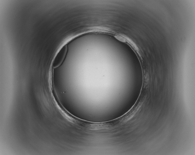X0000115251391200911061210