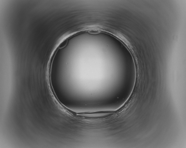 X0000115251392200911061210