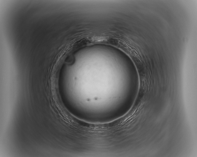 X0000115251393200911061209