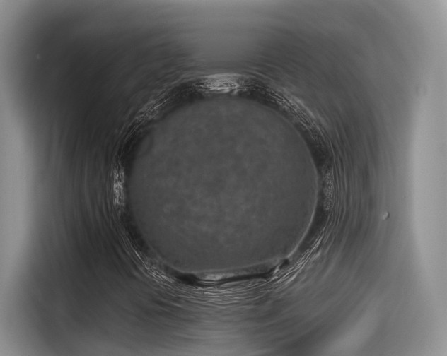 X0000115251394200911061209