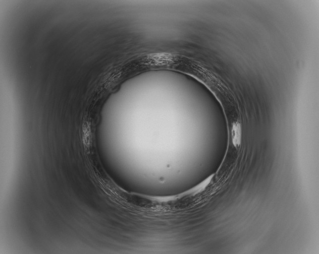 X0000115251395200911061209