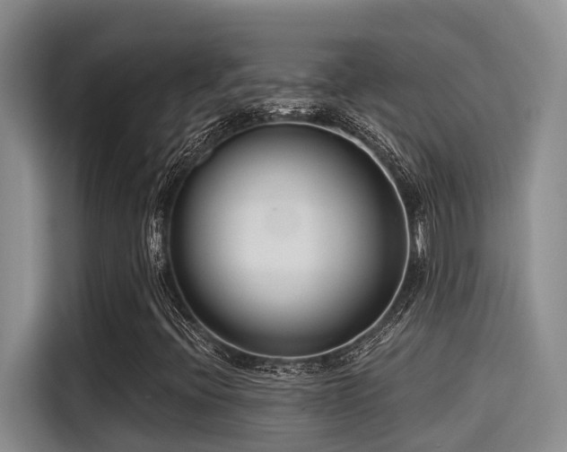 X0000115251396200911061209