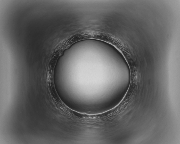 X0000115251397200911061209