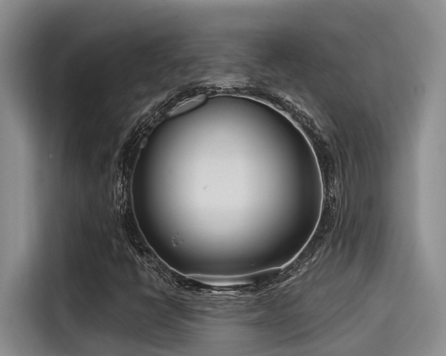 X0000115251398200911061209