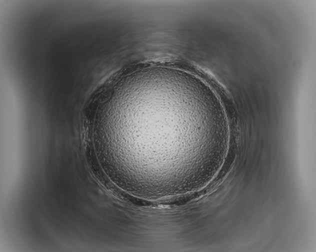 X0000115251399200911061209
