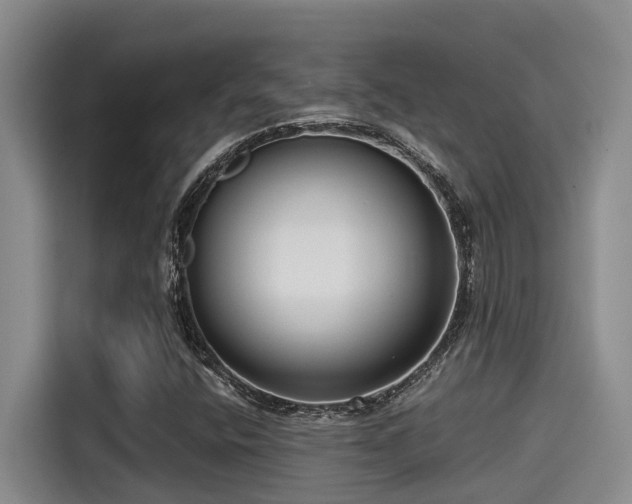 X0000115251400200911061209