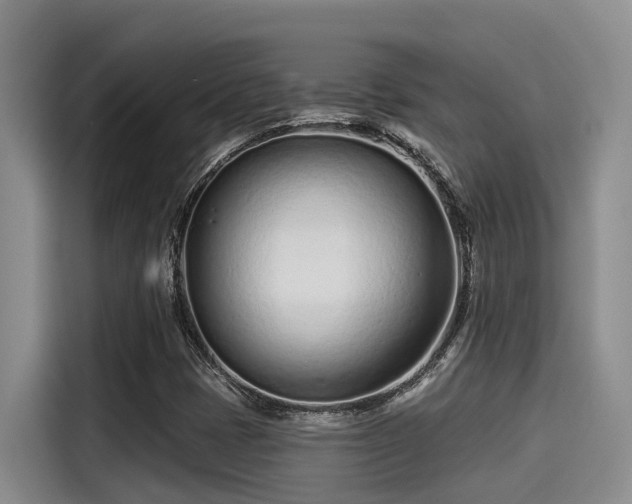 X0000115251401200911061209