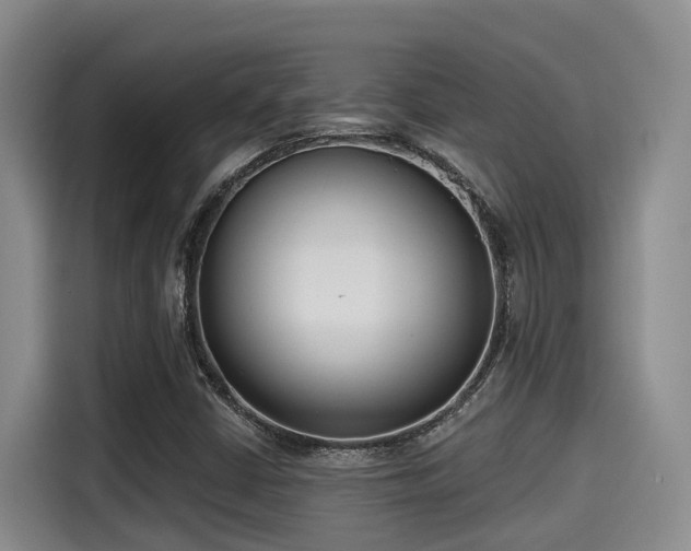X0000115251402200911061209