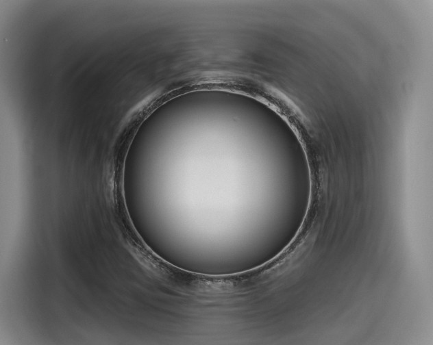 X0000115251403200911061209