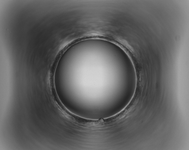 X0000115251404200911061209