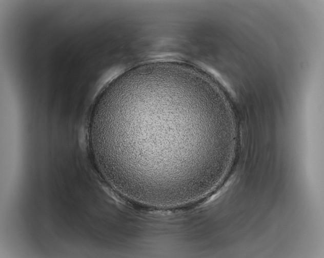 X0000115251405200911061209