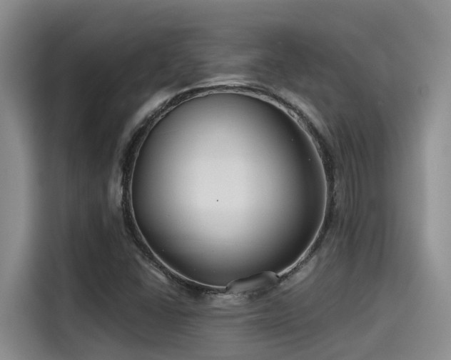 X0000115251406200911061209