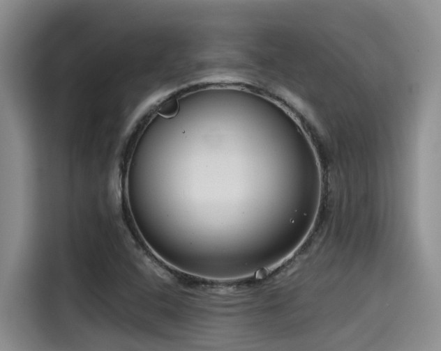 X0000115251408200911061209