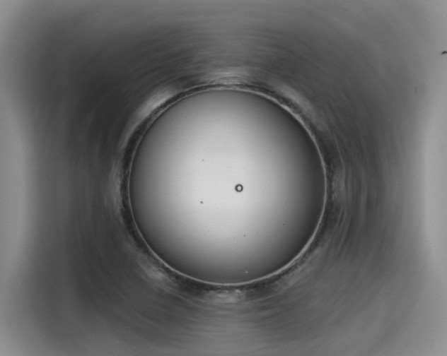 X0000115251410200911061209