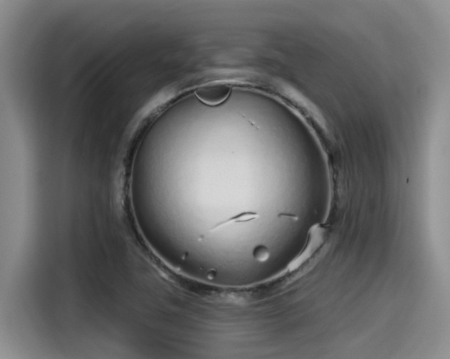X0000115251411200911061209