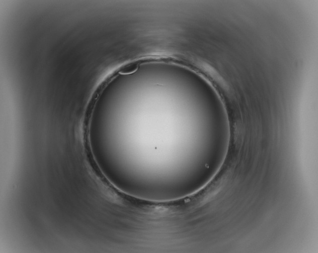 X0000115251412200911061209