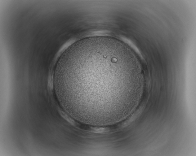 X0000115251413200911061209