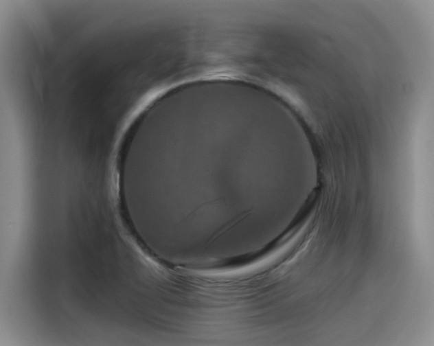 X0000115251414200911061209