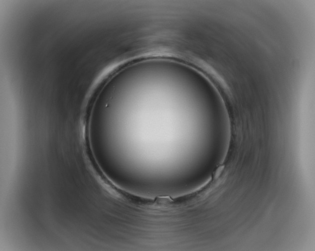 X0000115251416200911061209