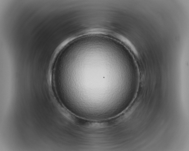 X0000115251419200911061209