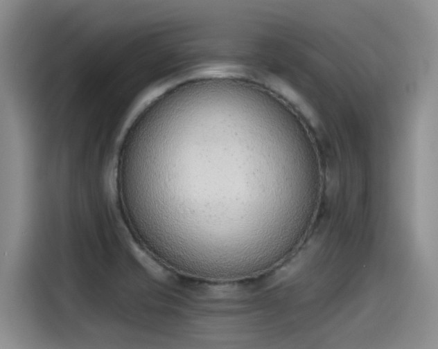 X0000115251421200911061209
