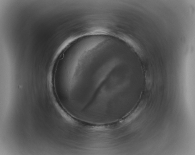 X0000115251422200911061209