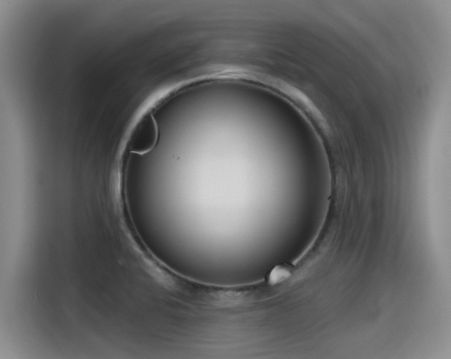 X0000115251424200911061209