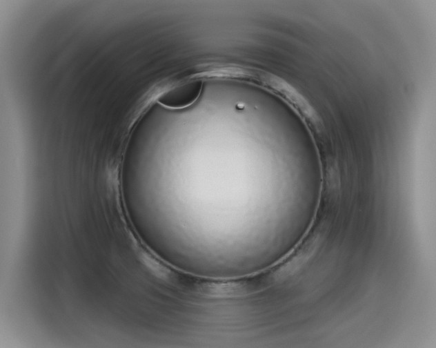 X0000115251425200911061209