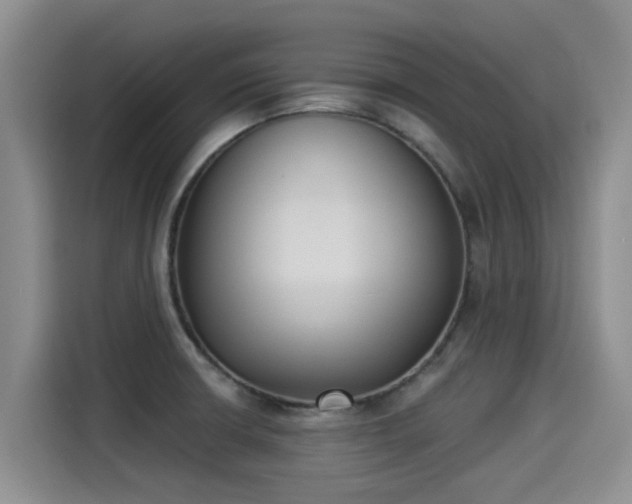 X0000115251426200911061209
