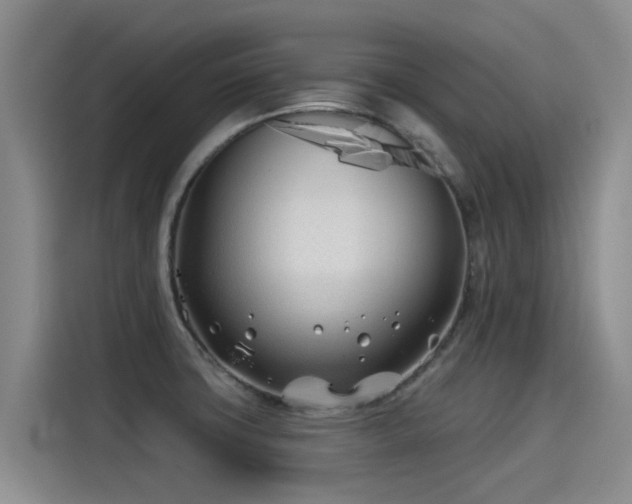 X0000115251427200911061209