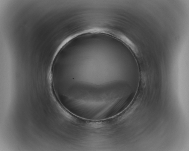 X0000115251428200911061209
