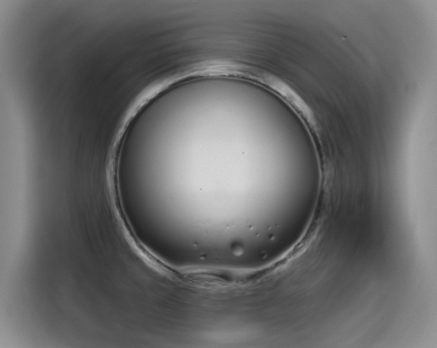 X0000115251429200911061209
