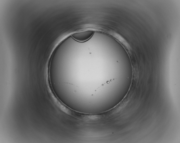 X0000115251431200911061209