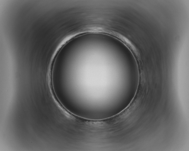 X0000115251432200911061209