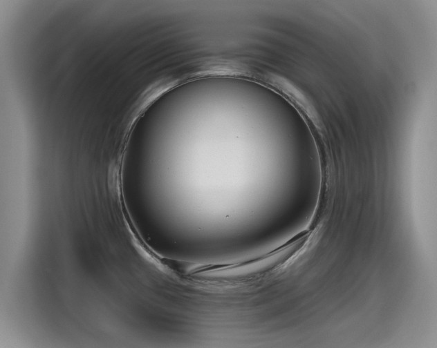 X0000115251433200911061209