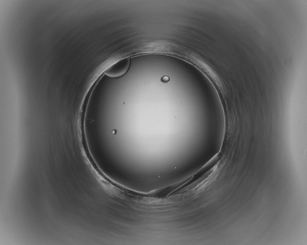 X0000115251434200911061209