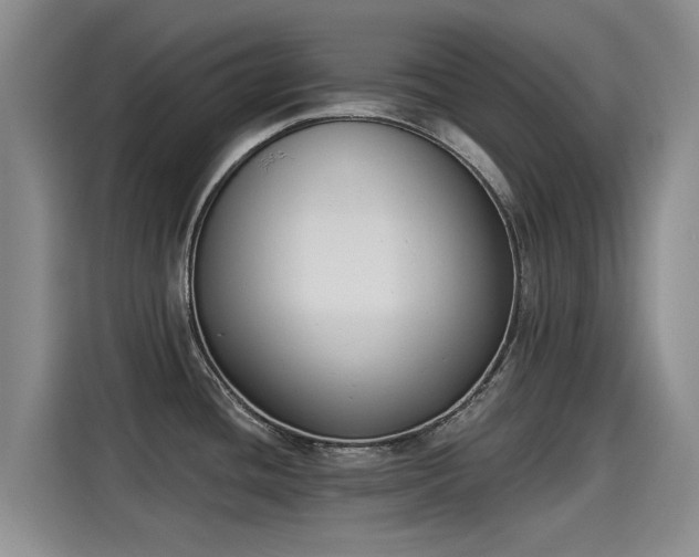 X0000115251436200911061210