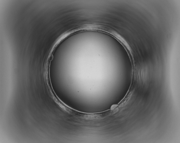 X0000115251437200911061210