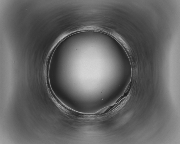 X0000115251438200911061210