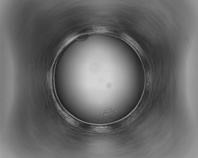 X0000115251439200911061210