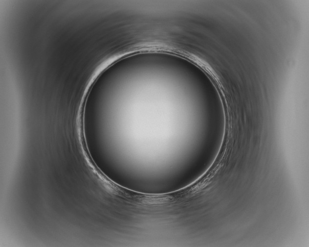 X0000115251440200911061210