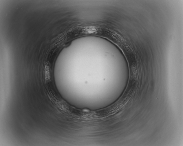 X0000115251442200911061209