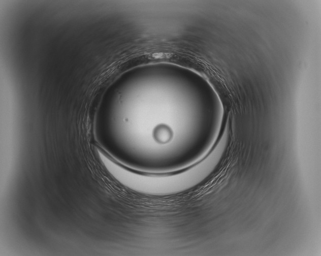 X0000115251443200911061209